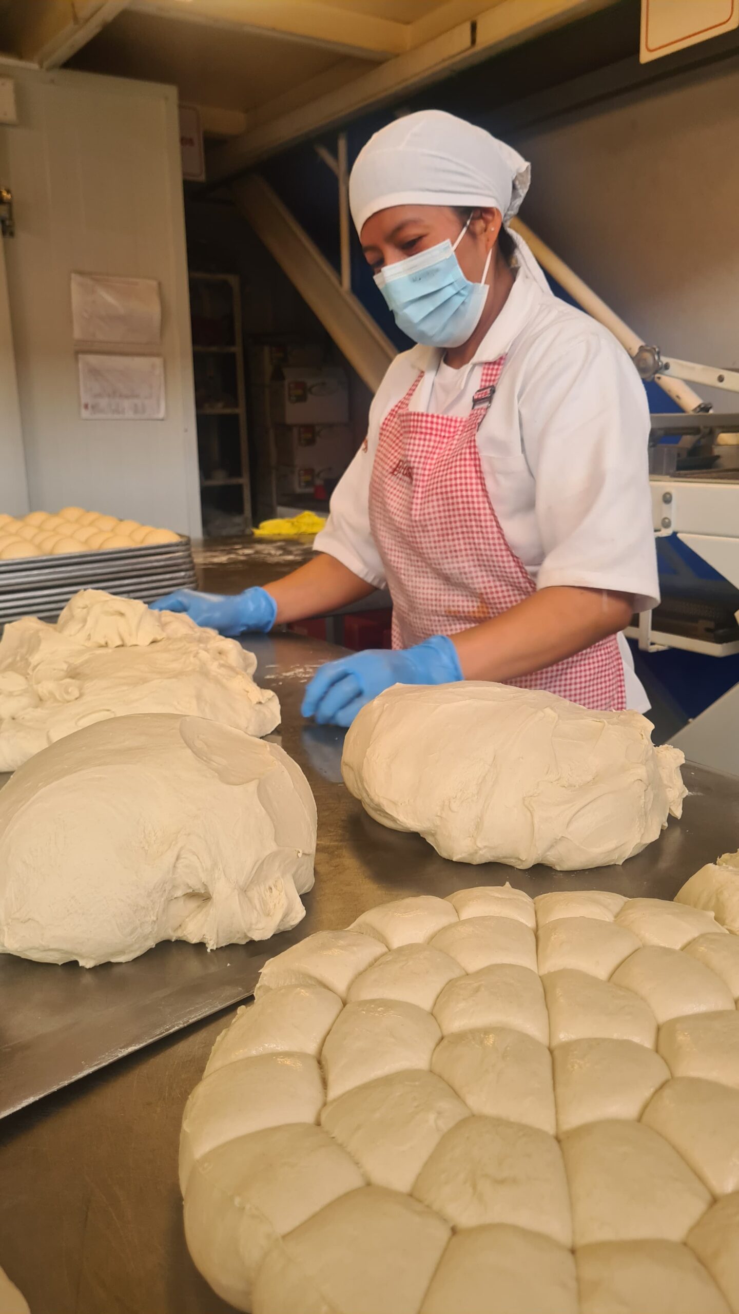 Panaderia 11