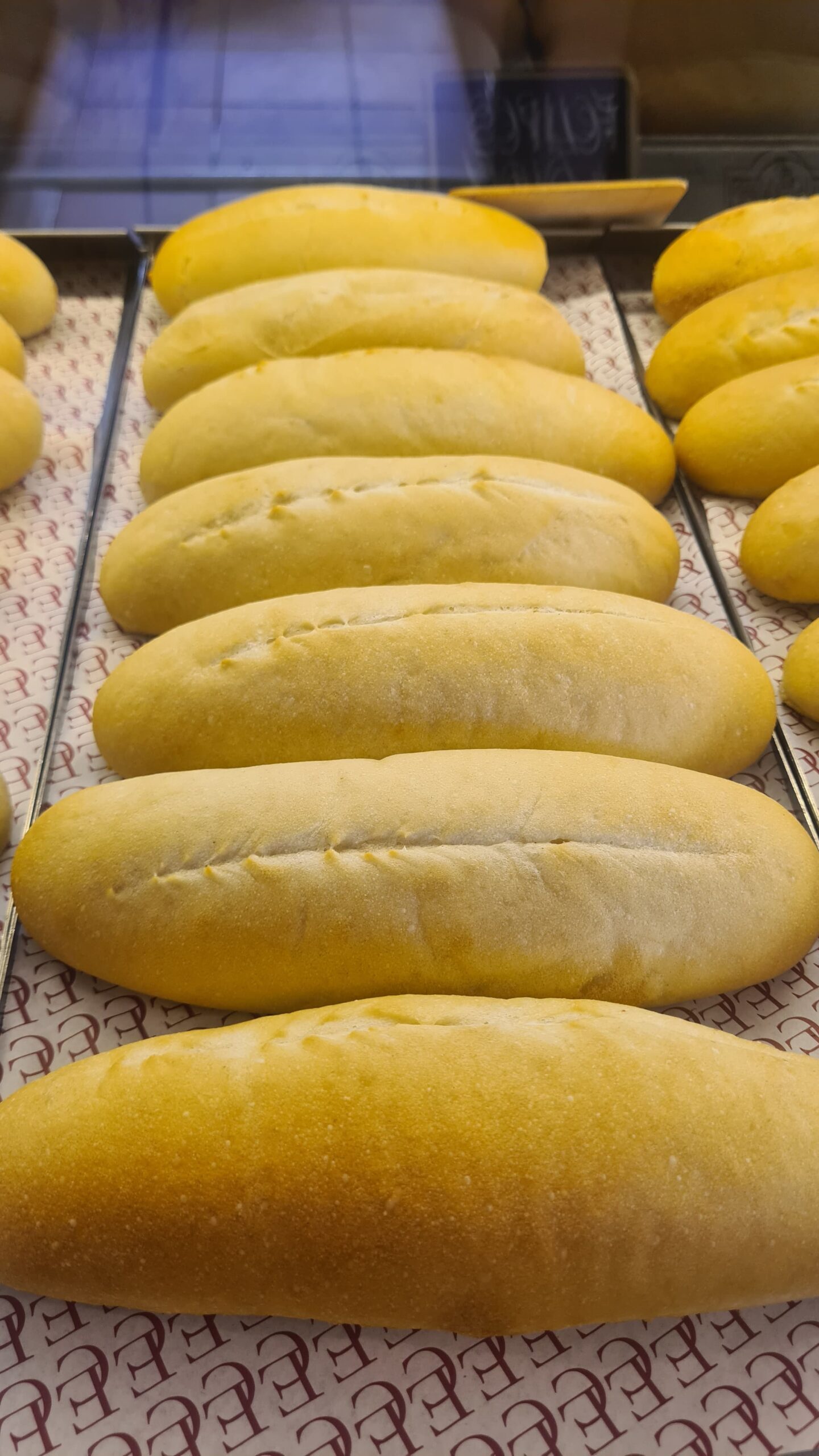 Panaderia 14