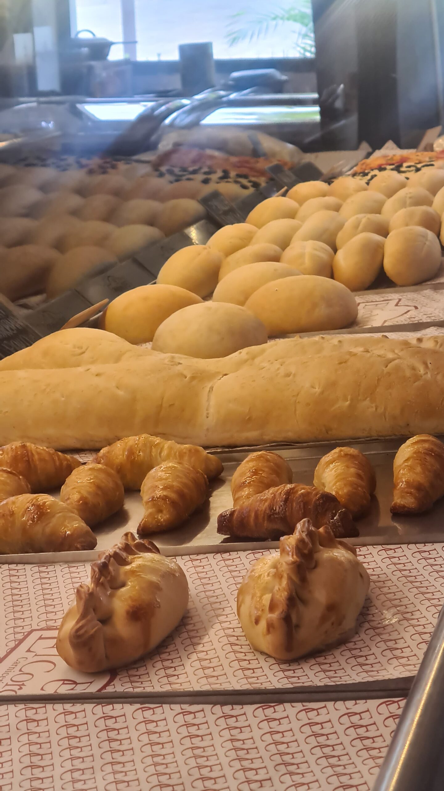 Panaderia 16