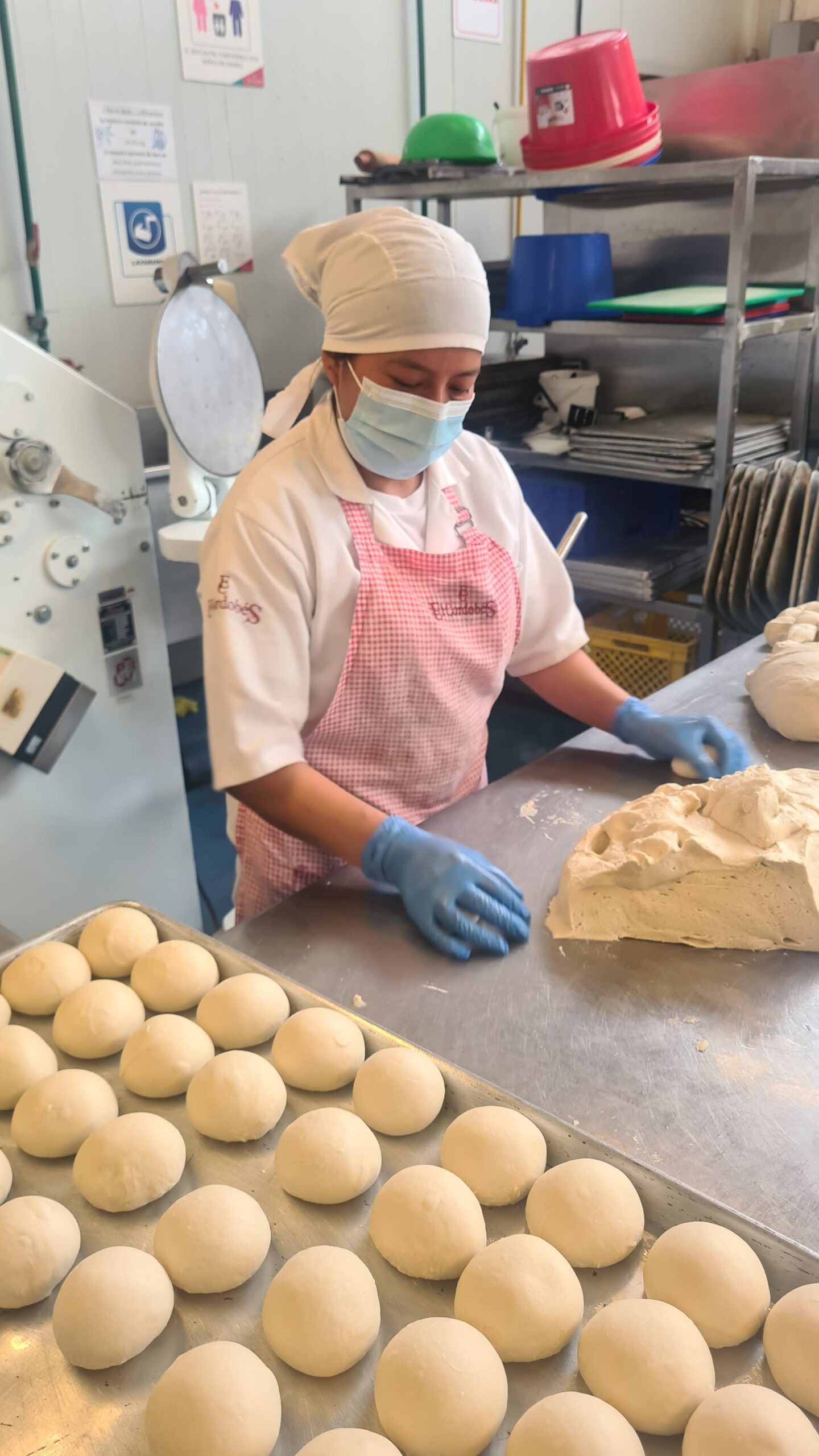 Panaderia 2