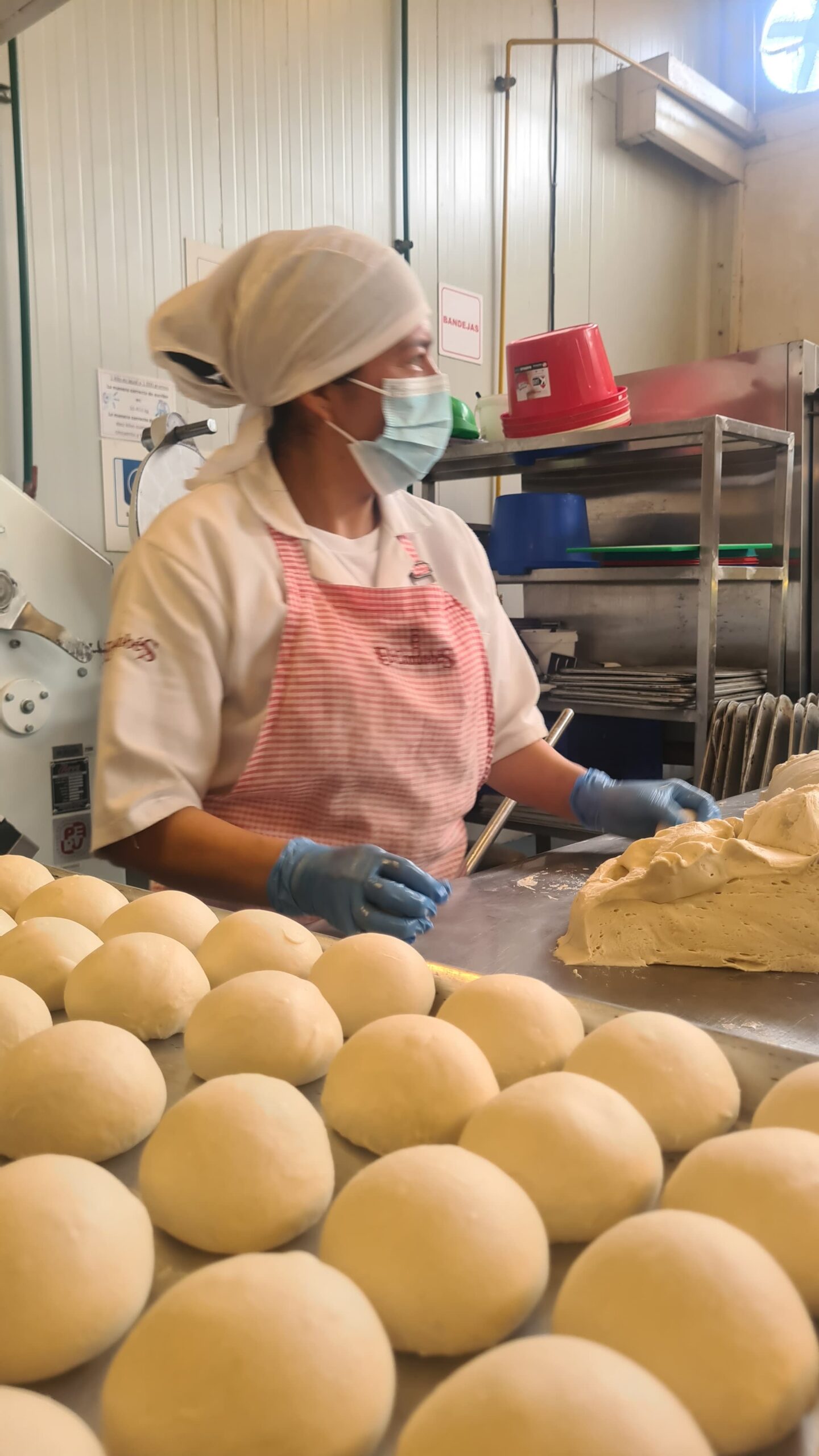 Panaderia 7